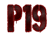 P19