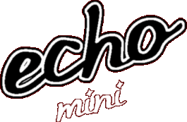 Echo Mini